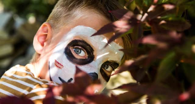 Maquillage Halloween enfant : 3 idées avec 2 produits