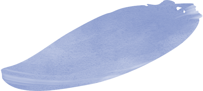 Aufgabe Startseite Website