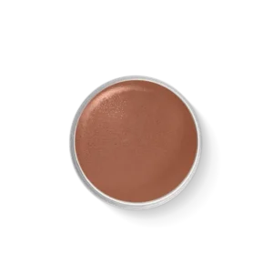 fard de maquillage marron