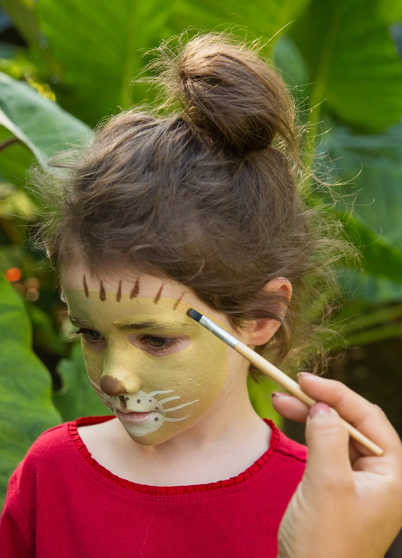 maquillage lion enfant